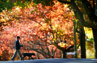 Illustration for article titled It's autumn in Melbourne